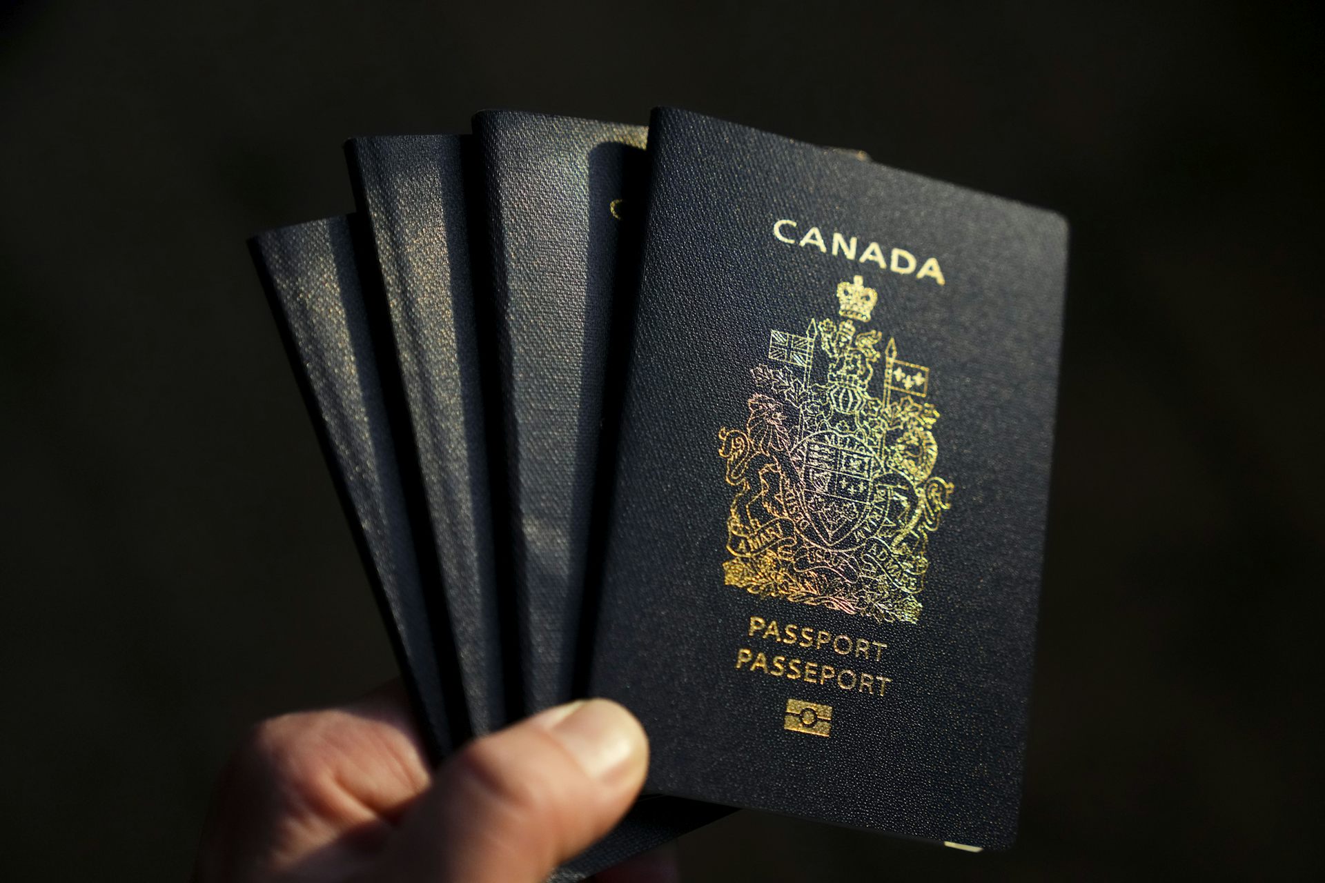 Declining Naturalizations Signal Larger Problems In Canada S   File 20230309 18 J31o82.JPG