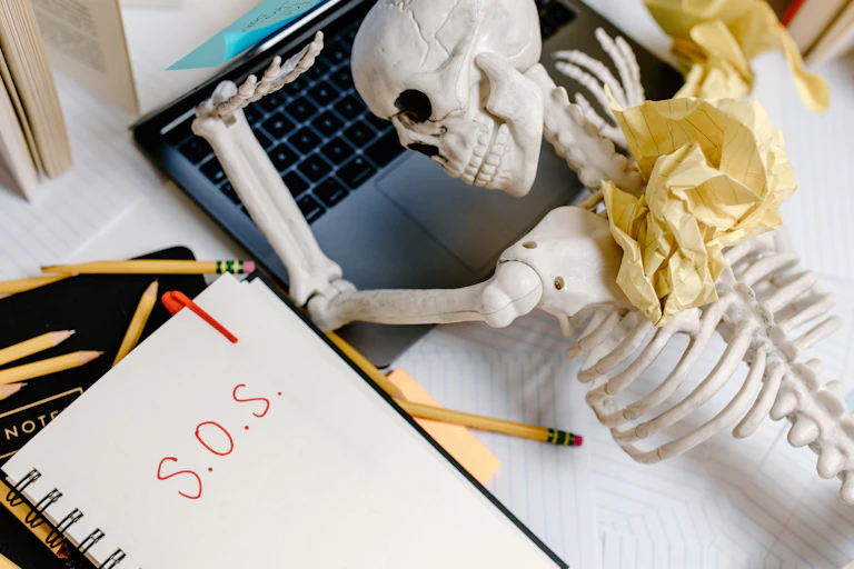 Skeleton at laptop