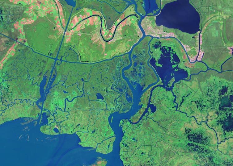 Satellite image of the Louisiana coast