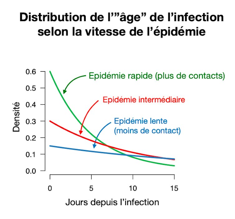 Sans gestes barrières, un « variant à grande vitesse », qui engendre rapidement de nouvelles infections, sera avantagé. Lorsque l’épidémie décroit, il est par contre désavantagé