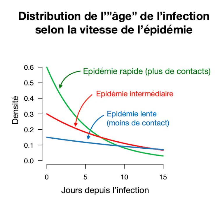 Sans gestes barrières, un « variant à grande vitesse », qui engendre rapidement de nouvelles infections, sera avantagé. Lorsque l’épidémie décroit, il est par contre désavantagé
