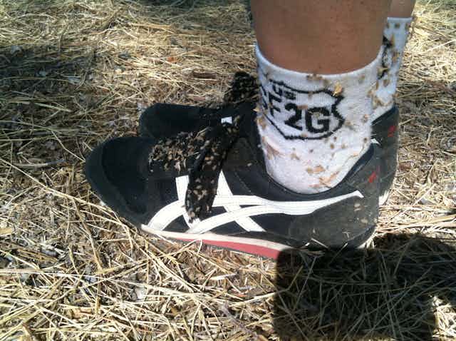 Hiker's feet with burrs stuck to shoes and socks