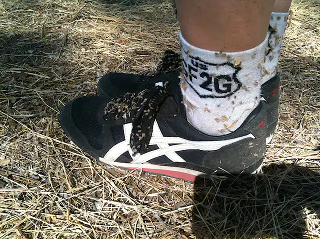Socks Stuck Those seeds clinging to your hiking socks may be from invasive plants ...