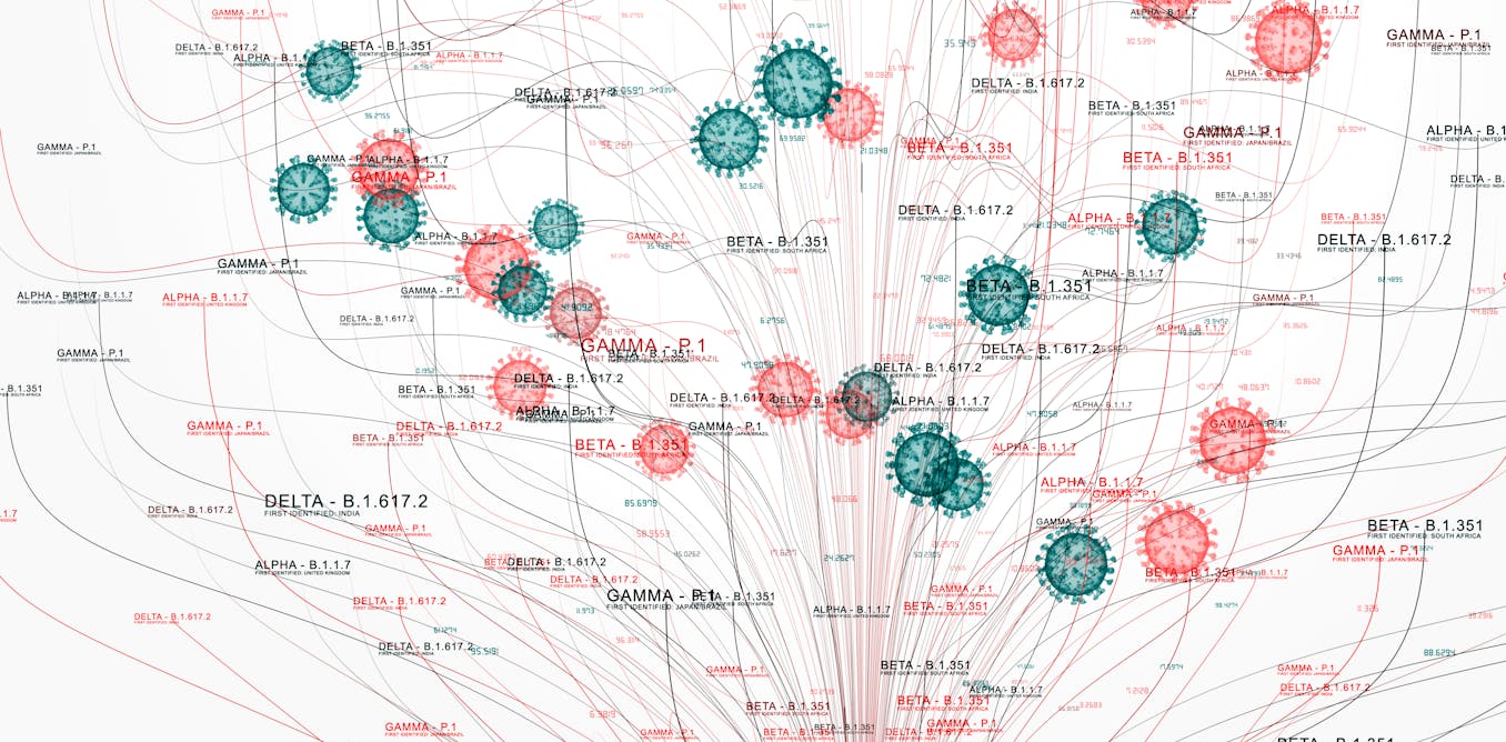 file-20230311-3007-mth9ci.jpg?ixlib=rb-4.1.0&rect=538%2C0%2C4293%2C2146&q=45&auto=format&w=1356&h=668&fit=crop