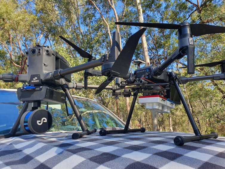 Two drones used in research to assess koala numbers