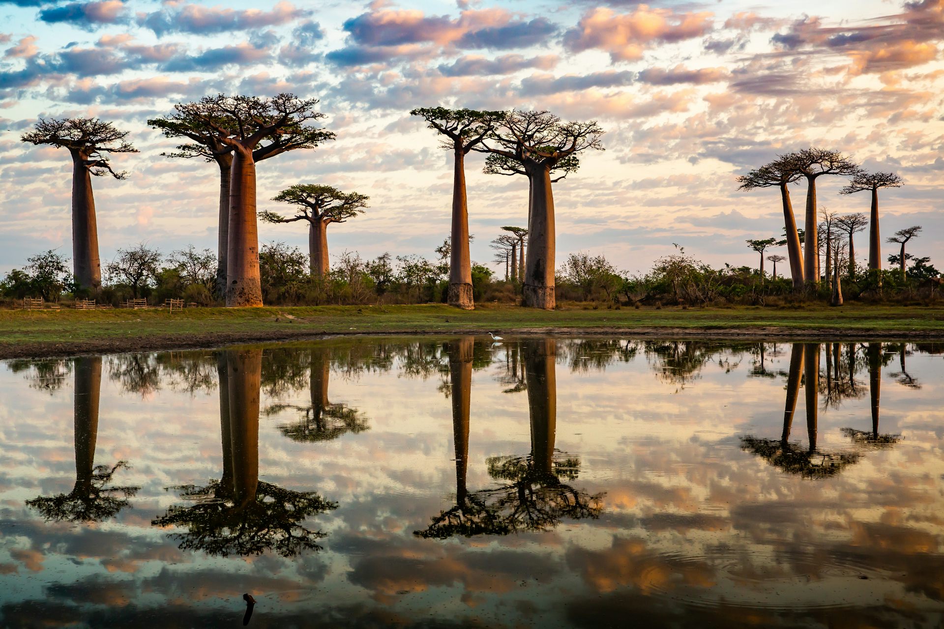 La Biodiversidad De La Península Ibérica A Lo Largo De 66 Millones De Años