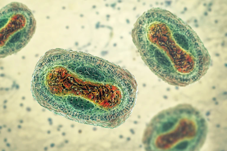 An illustration of the virus that causes monkeypox.