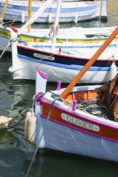 A group of docked boats.