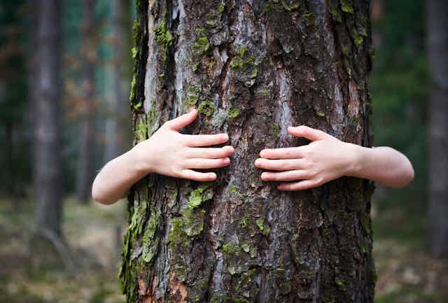 Une petite fille se tient debout et se serre contre un arbre dans la forêt