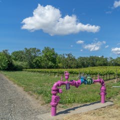 recent research on wastewater treatment