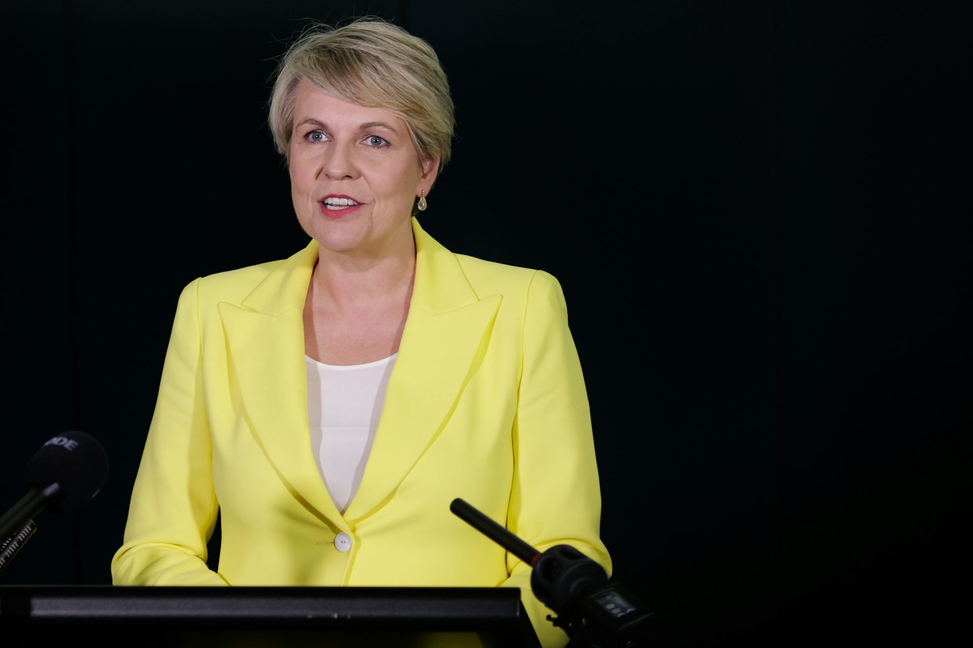 'A Policy Aesthete': A New Biography Of Tanya Plibersek Shows How ...