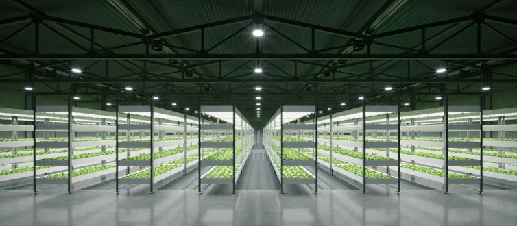 Indoor hydroponic vegetable plant factory in exhibition space warehouse.