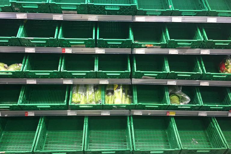 A supermarket produce shelf showing many empty green produce crates