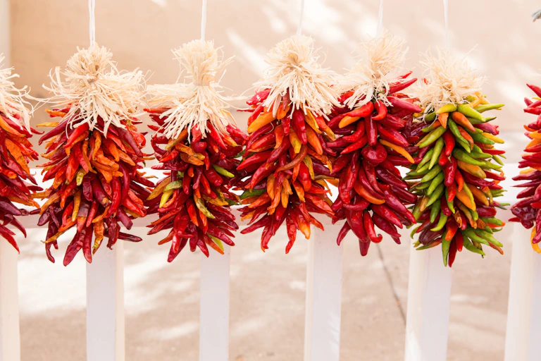 ristras de chiles rojos y verdes secándose al sol.