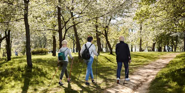Three people, two with gray hair, walk with poles on a trail in springtime.