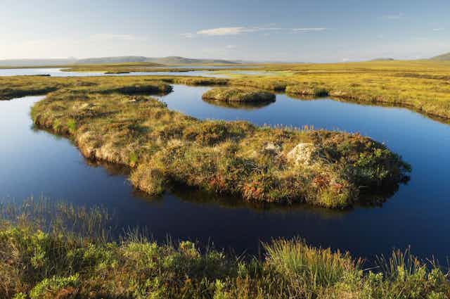 A peatland landscape with bogland and water.