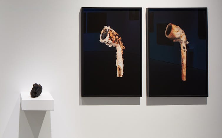 Two images seen hanging on a white wall of rusty and calcified-looking pipes.