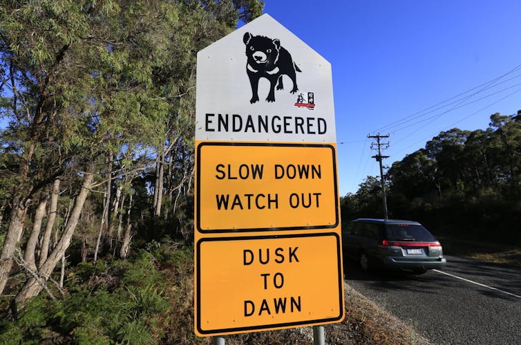 sign warning of the dangers vehicles pose to Tasmanian devils