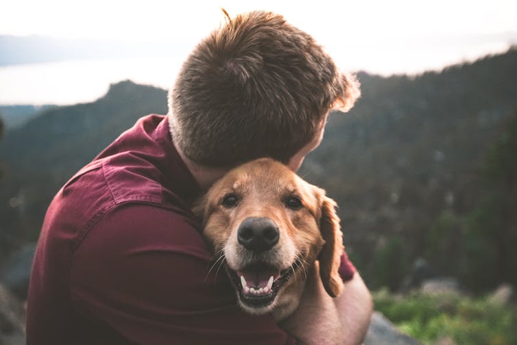 A person in a maroon shirt hugging a golden retriever looking at the camera