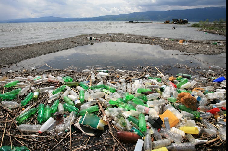 A pile of plastic bottles next to a lake.