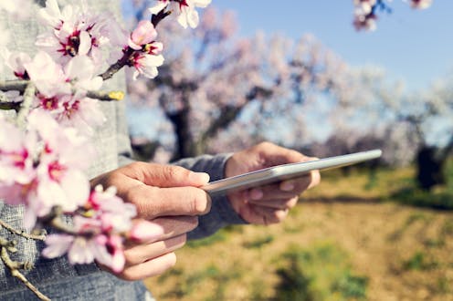 El reto de los gemelos digitales en tierra de cultivo
