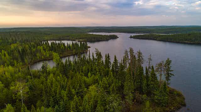 photographie aérienne d'une forêt autour d'un lac