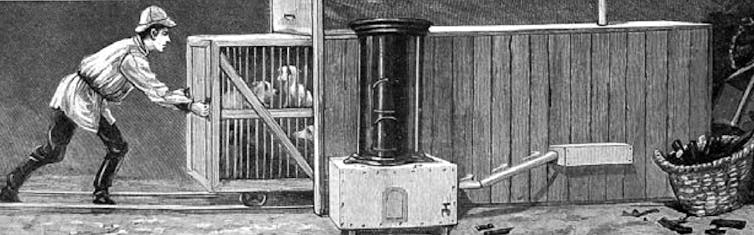 Illustration en noir et blanc représentant la chambre léthale pour chiens