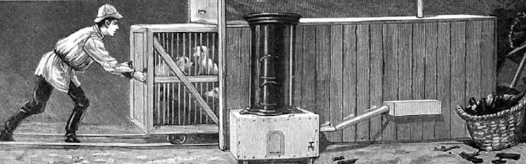 Illustration en noir et blanc représentant la chambre léthale pour chiens