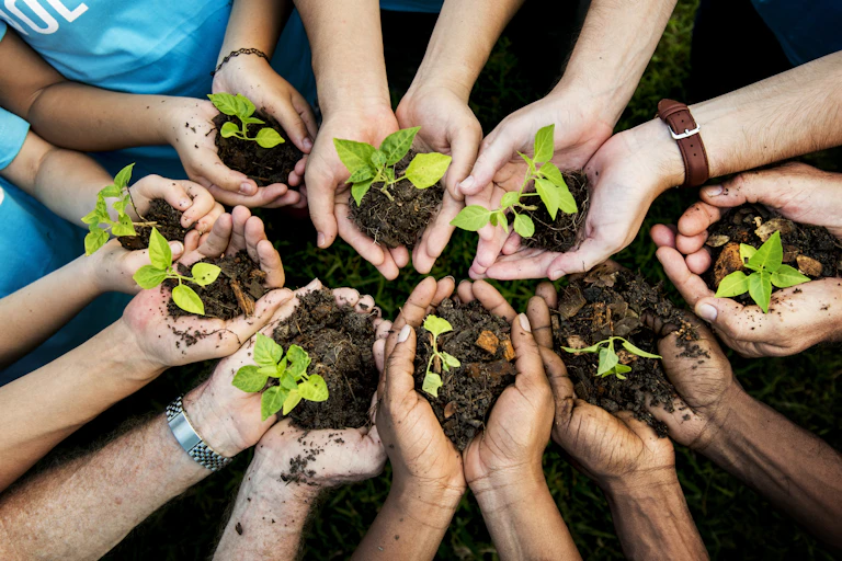 Small saplings cupped in a circle of hands.