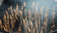 Eels being smoked.