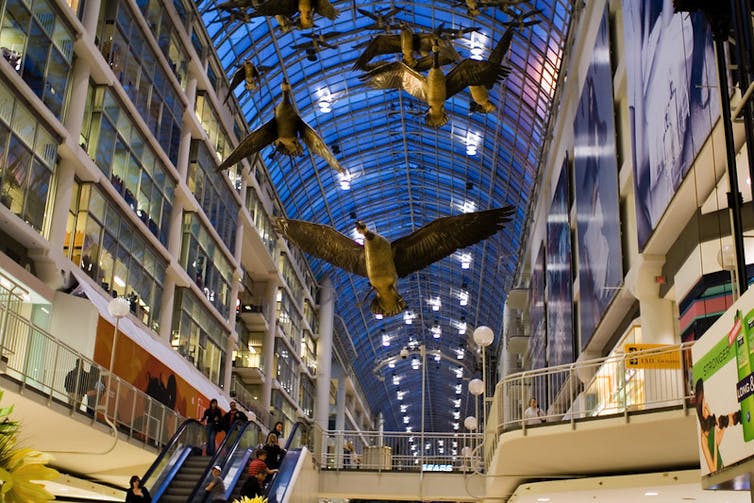 geese seen hanginging in a mall under an atrium
