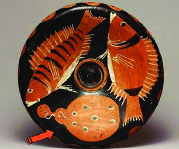 Plato con una raya torpedo