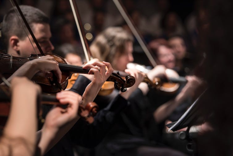 The strings in an orchestra.