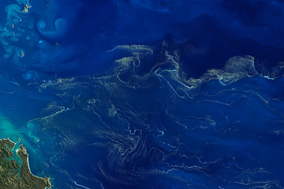 Vue aérienne d'un océan. La mer est parsermée de multiples filaments verdatres.