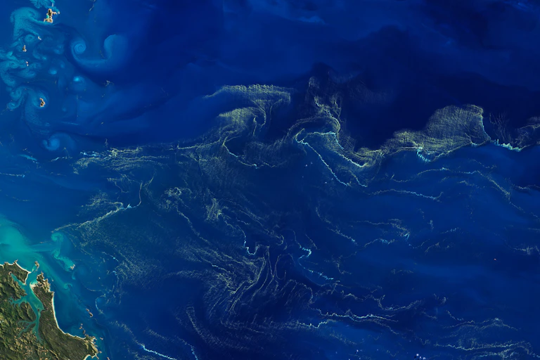 Vue aérienne d'un océan. La mer est parsermée de multiples filaments verdatres.