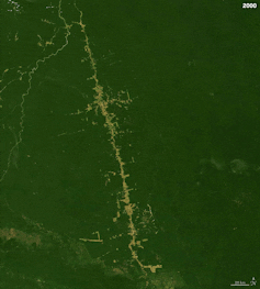 An animation shows primarily the highway in 2000 but deforestation quickly expanding off of it over the following years.