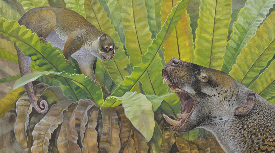 Illustration of a possum-like brown animal facing off a dog-like creature with large lower teeth
