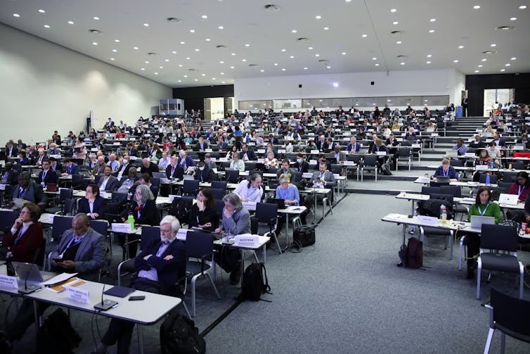 people sit at rows of desks