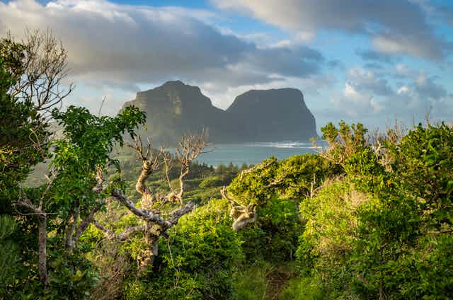 View across forest to rocky headlands on Lord Howe Island