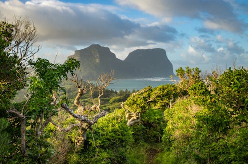 What is myrtle rust and why has this disease closed Lord Howe Island to visitors?