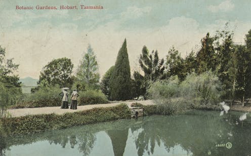 The public history, climate change present, and possible future of Australia’s botanic gardens