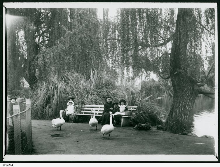 Vintage photo. A woman and two children sit on a bench, watching swans.