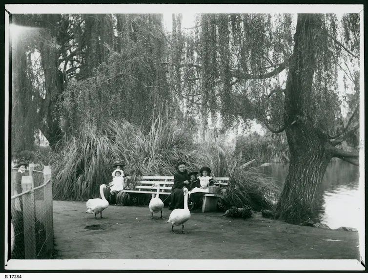 Vintage photo. A woman and two children sit on a bench, watching swans.