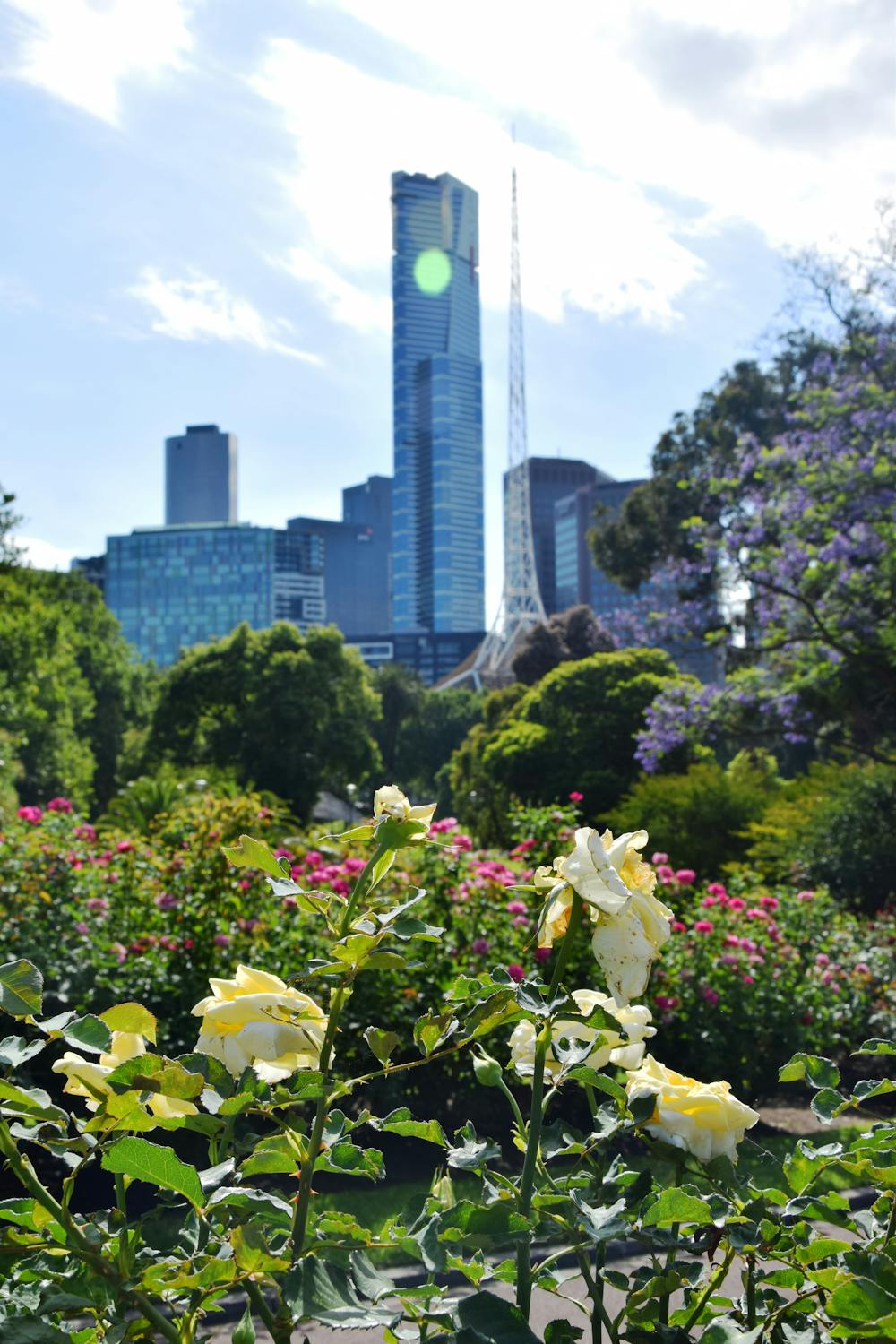 Adapting the botanical landscape of Melbourne Gardens (Royal Botanic Gardens  Victoria) in response to climate change – APGA