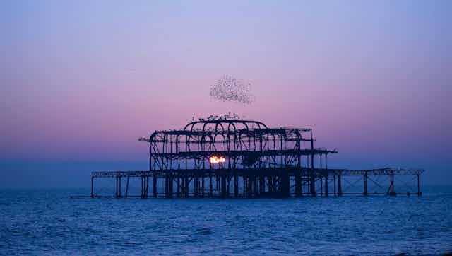Starling murmuration above the West pier with a pink hue sunset in the background.