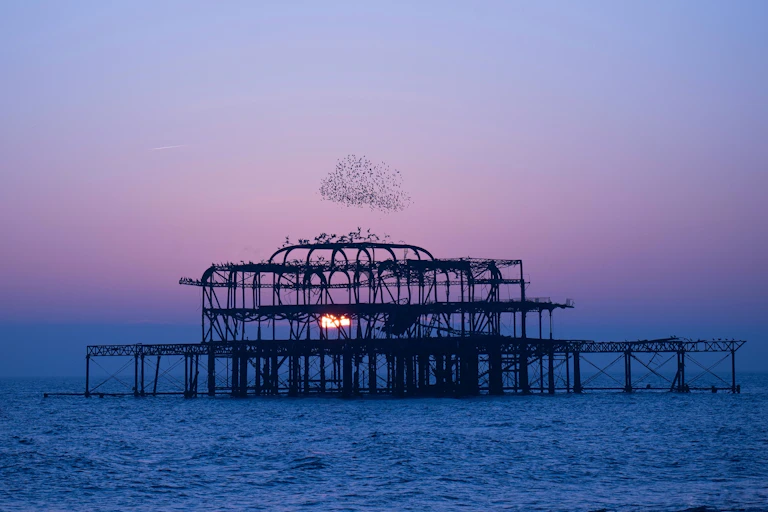 Starling murmuration above the West pier with a pink hue sunset in the background.