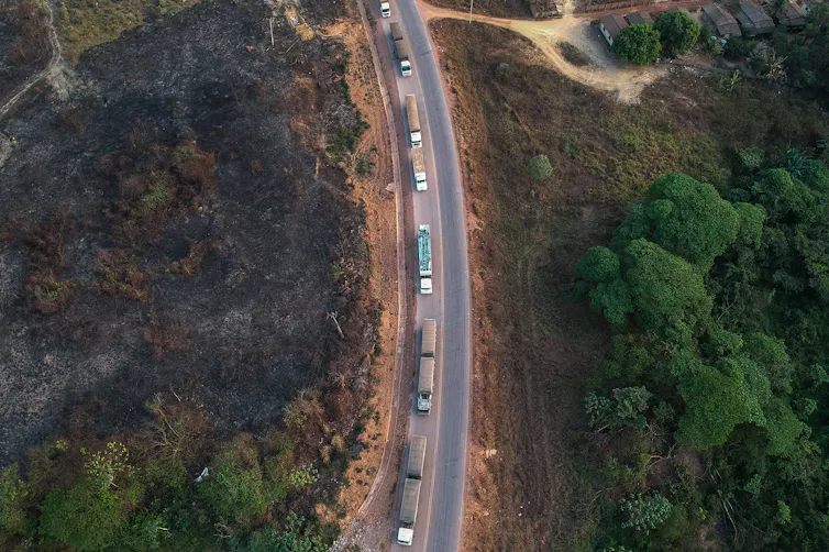 Trucks are lined up on a road bending between a burned area and trees, with a smaller road winding off to the side.