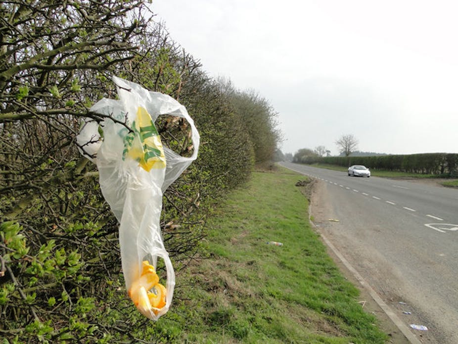 Government's plastic bag plan has been shot full of holes
