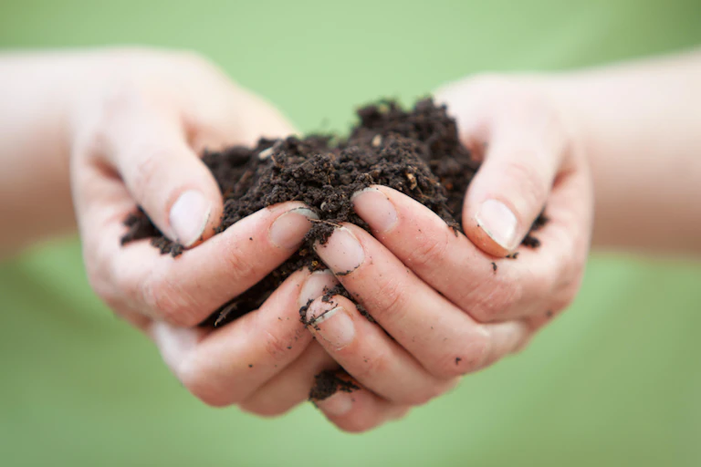 A close-up of a person with soil in their hands.