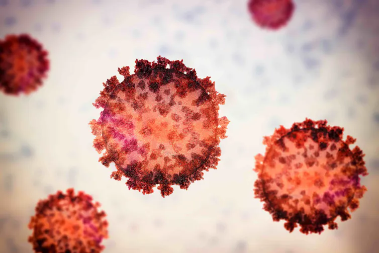An illustration of SARS-CoV-2, the virus that causes COVID.